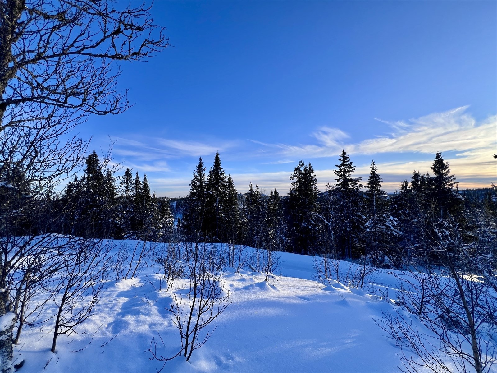 Vinterbilde tatt av eiendomsmegler Januar 2025 Galleribilde