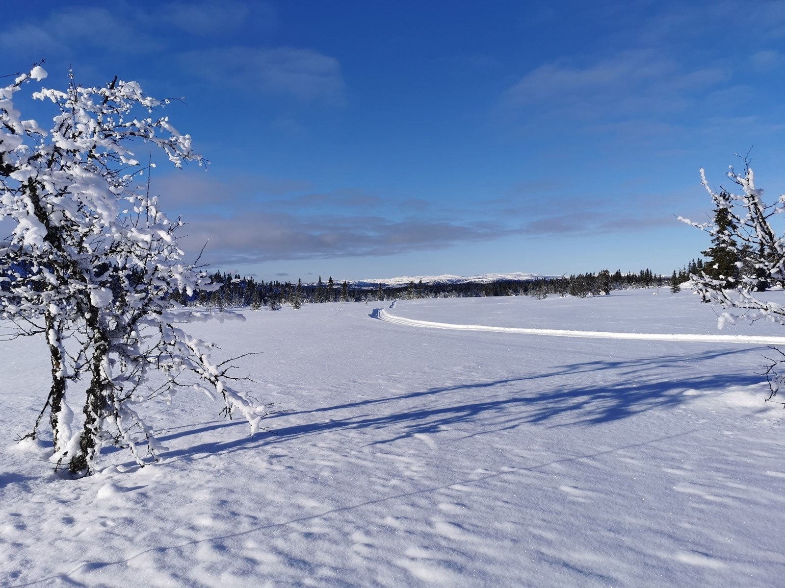 Vinterbilde fra skiløypen tatt av selgerne Galleribilde