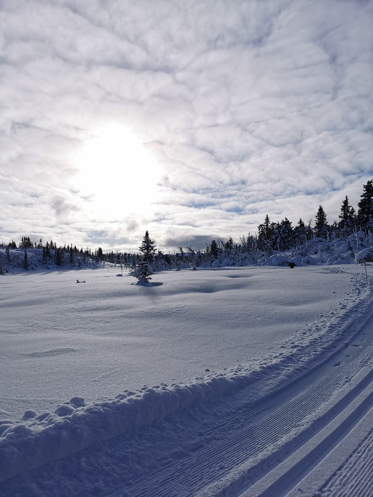 Vinterbilde fra skiløypen tatt av selgerne Galleribilde
