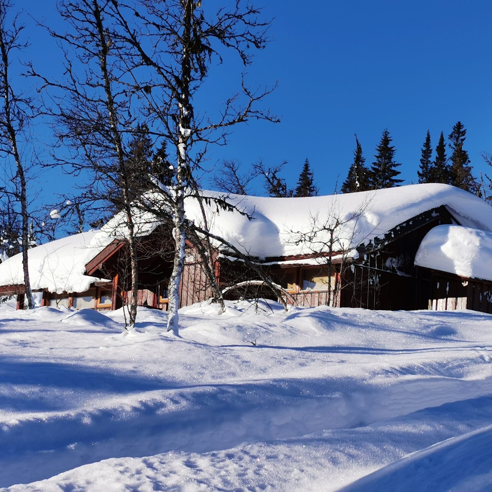 Vinterbilde tatt av selgerne Galleribilde
