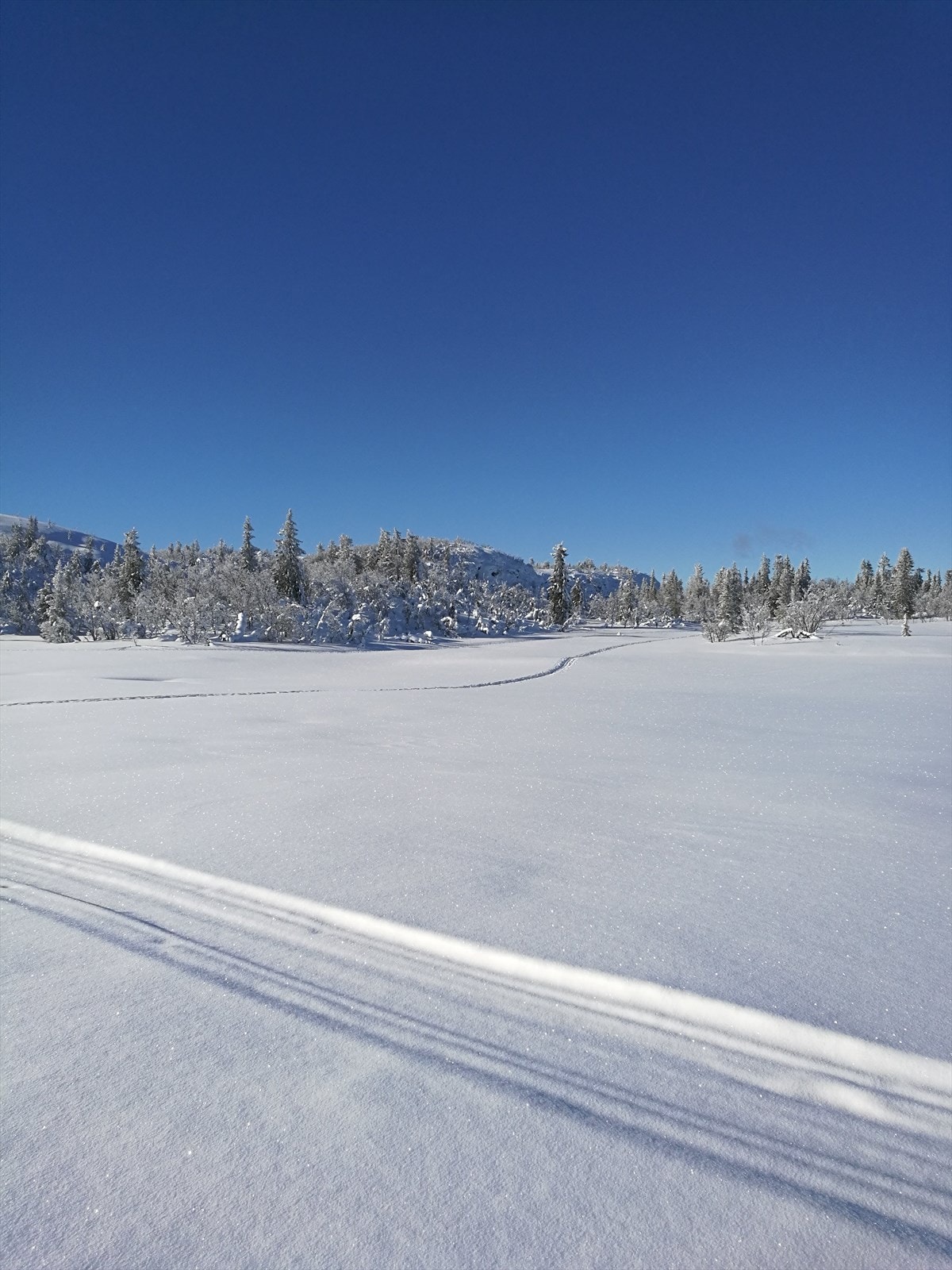 Vinterbilde fra skiløypen tatt av selgerne Galleribilde