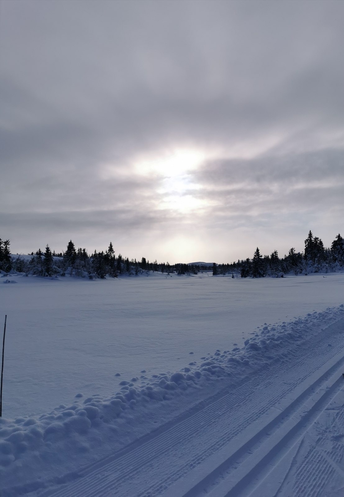 Vinterbilde fra skiløypen tatt av selgerne Galleribilde