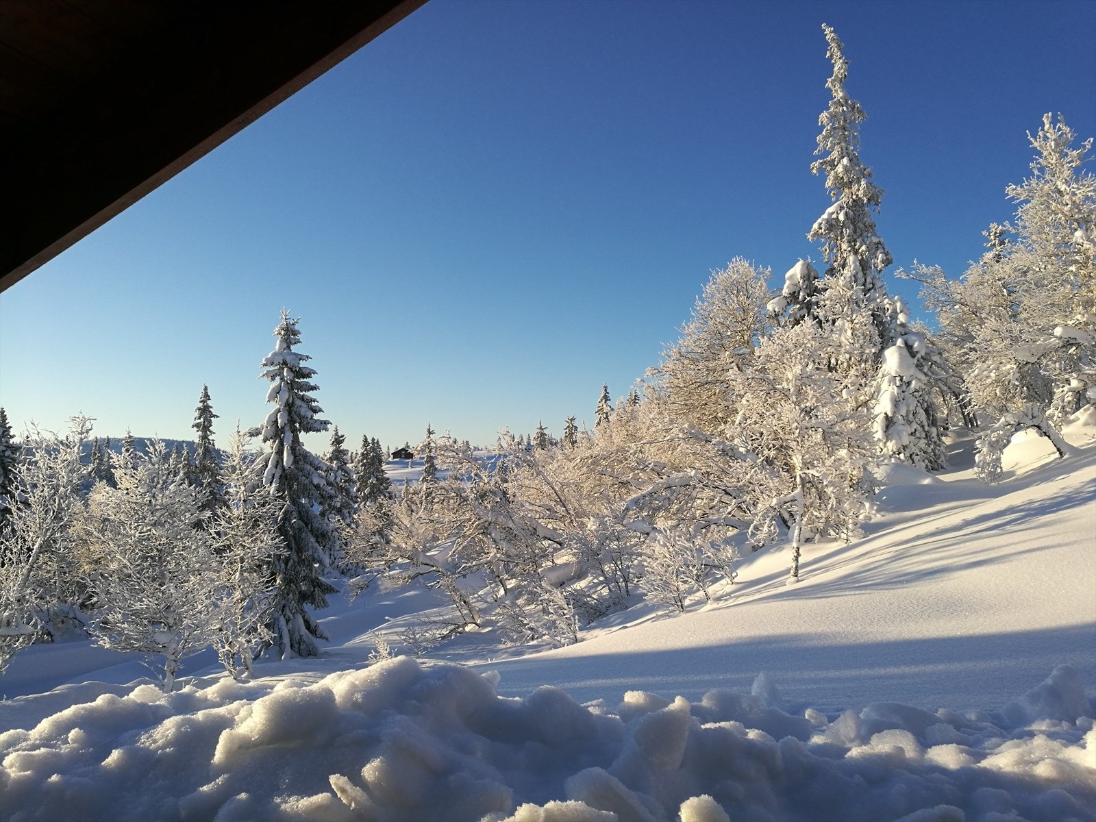 Vinterbilde tatt av selgerne Galleribilde