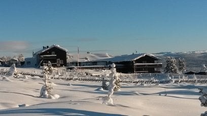 Eiendommen i vinterdrakt. Galleribilde