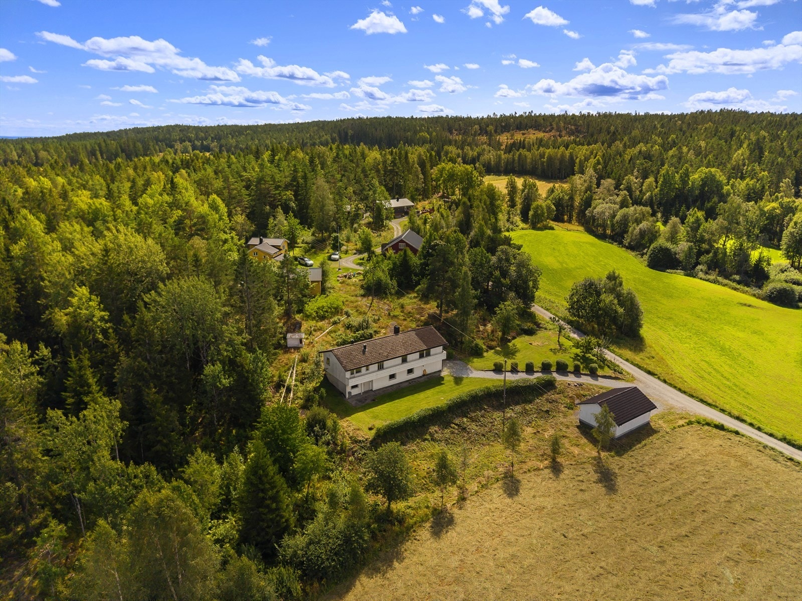 Dronefoto Galleribilde