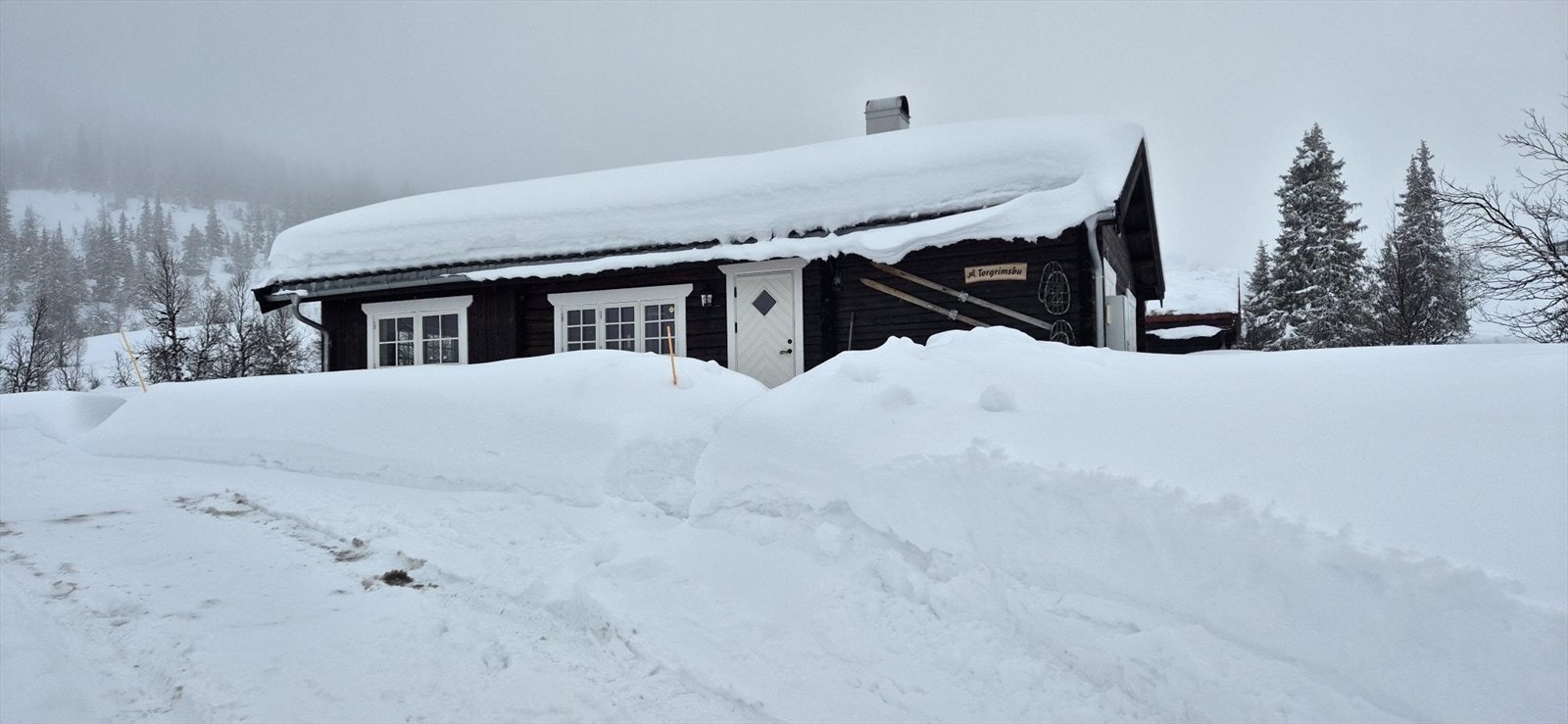 Vinterbilde tatt av selger de siste vintrene Galleribilde