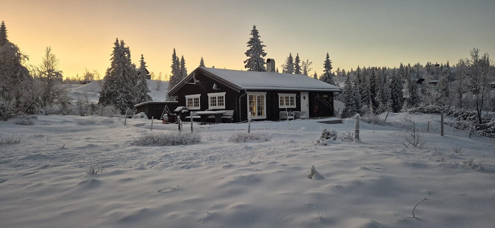 Vinterbilde tatt av selger de siste vintrene Galleribilde