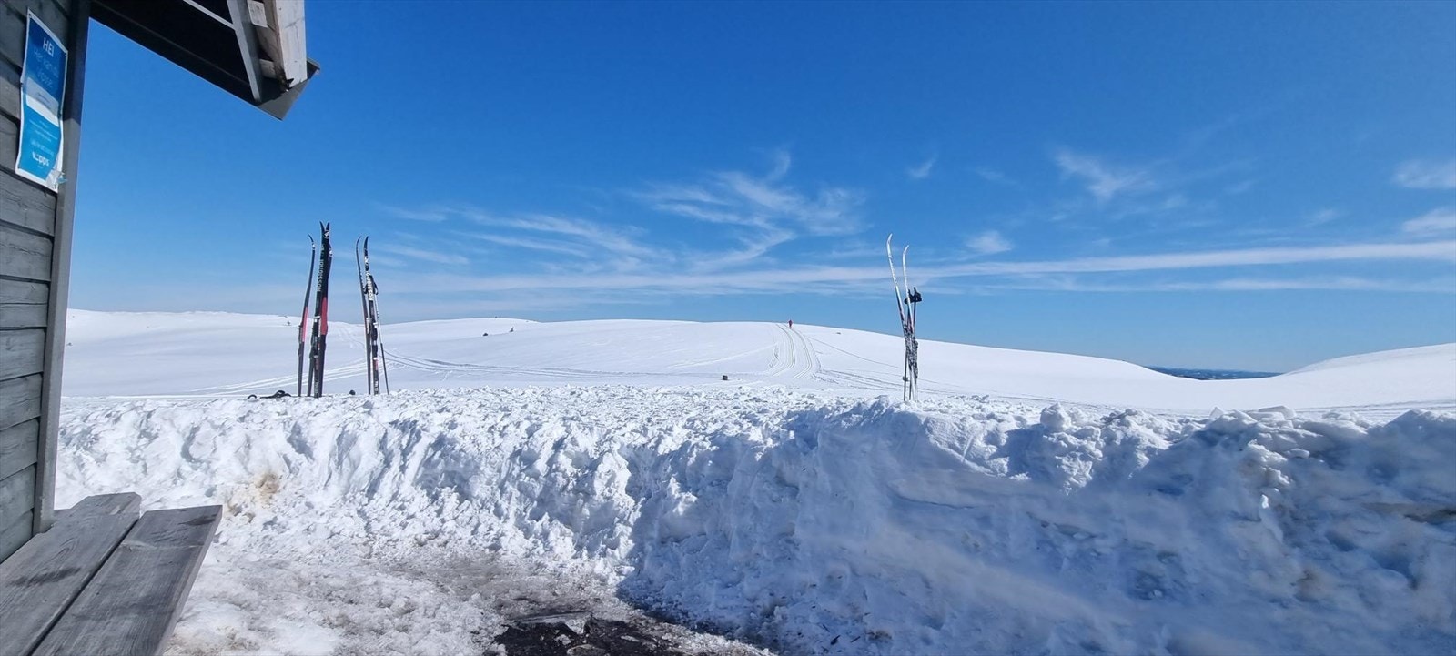 Vinterbilde tatt av selger de siste vintrene Galleribilde