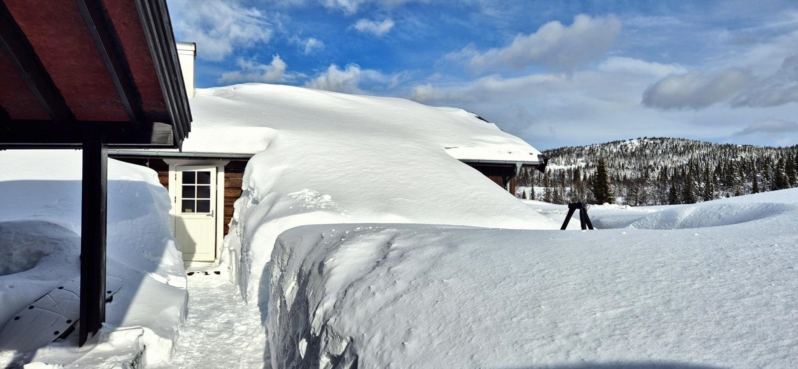 Vinterbilde tatt av selger de siste vintrene Galleribilde