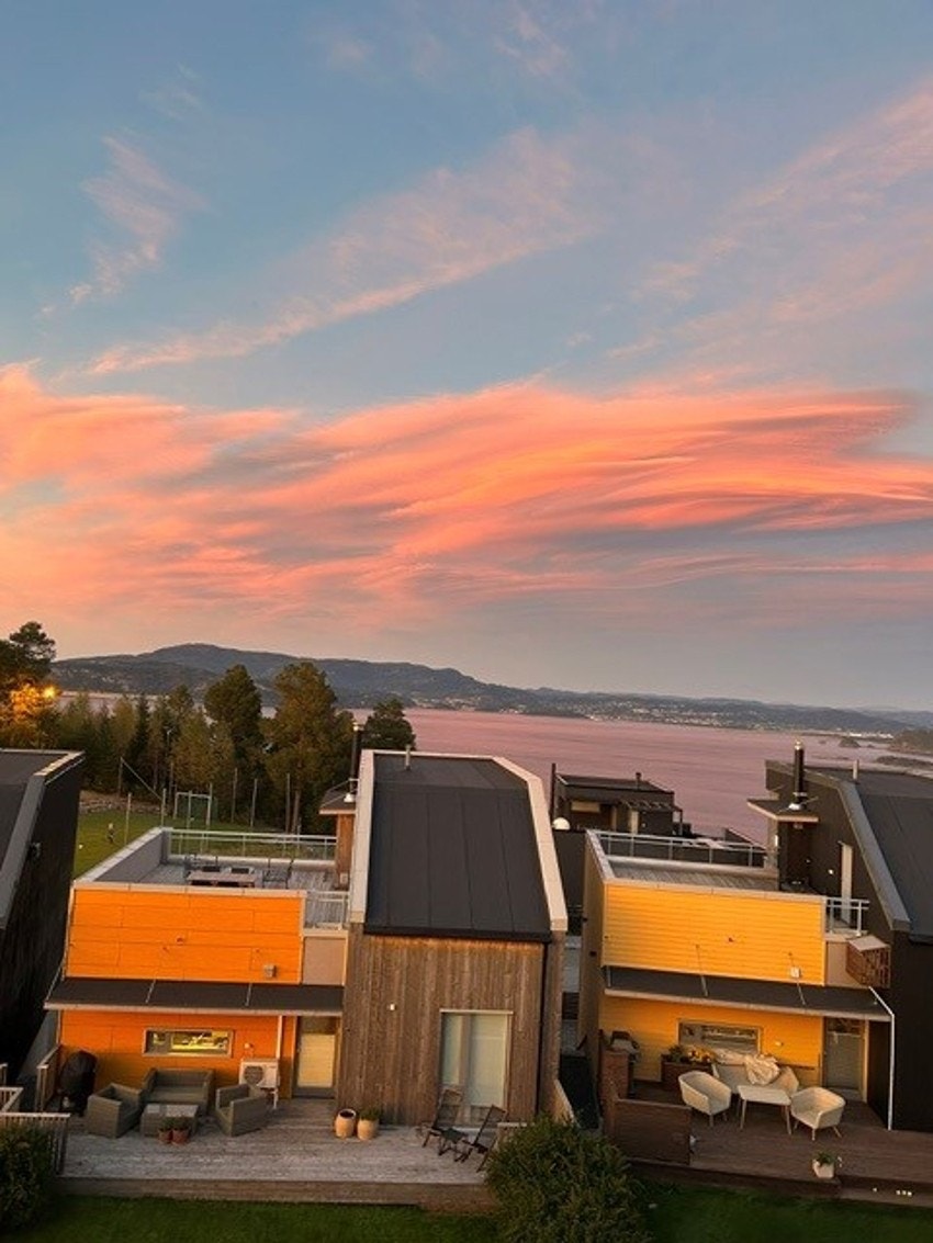 Bilde tatt av selger Galleribilde