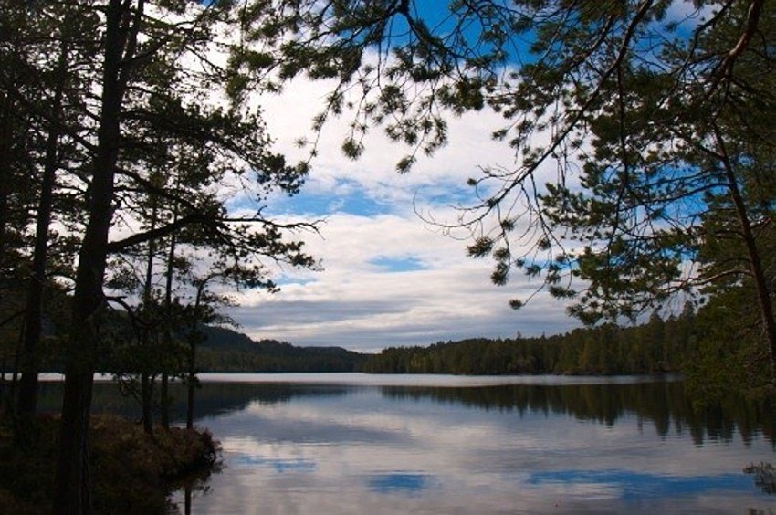 Stavsjøen er flott for både bading og kanoturer. Galleribilde