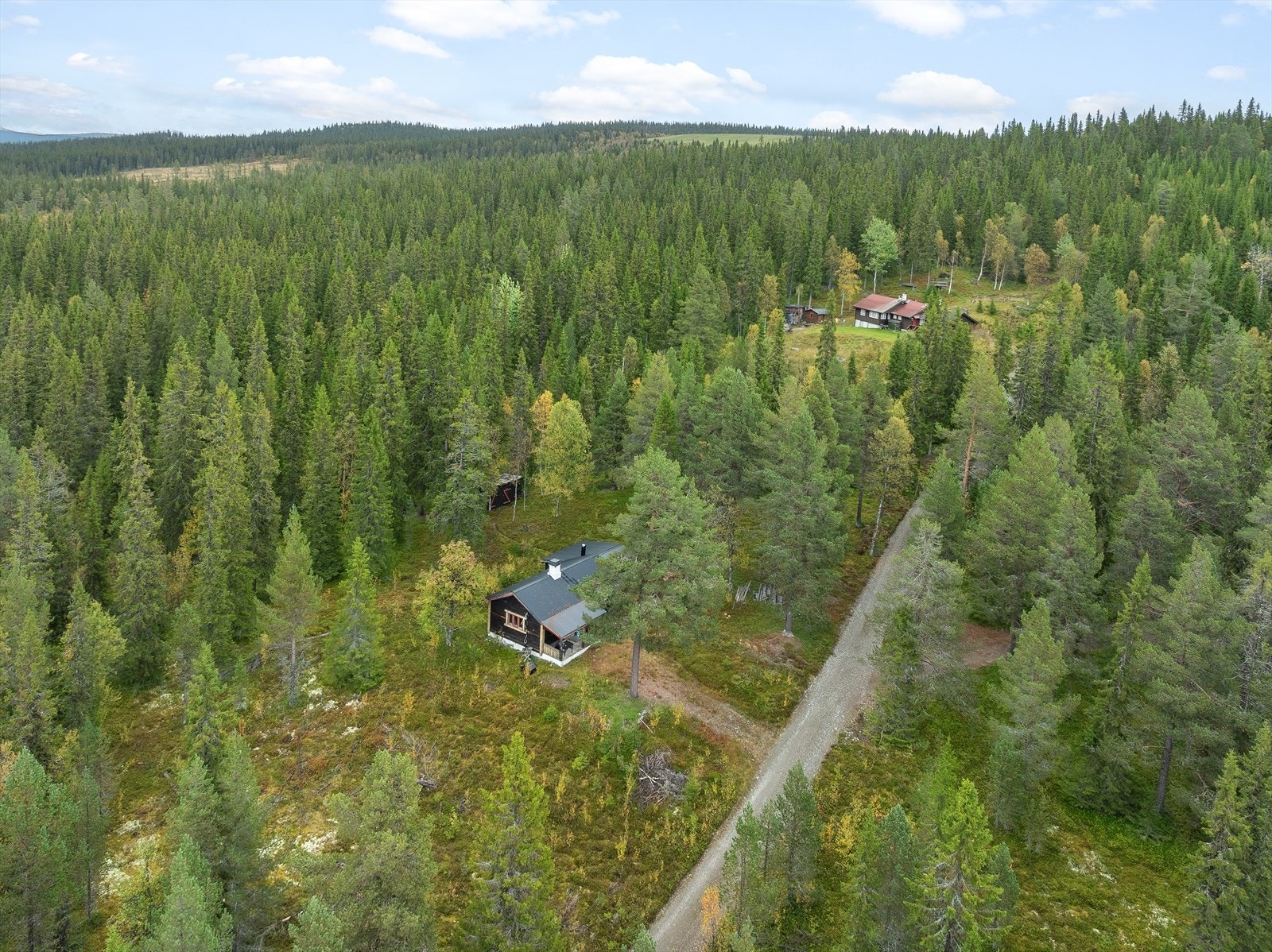 Velkommen til visning! Galleribilde