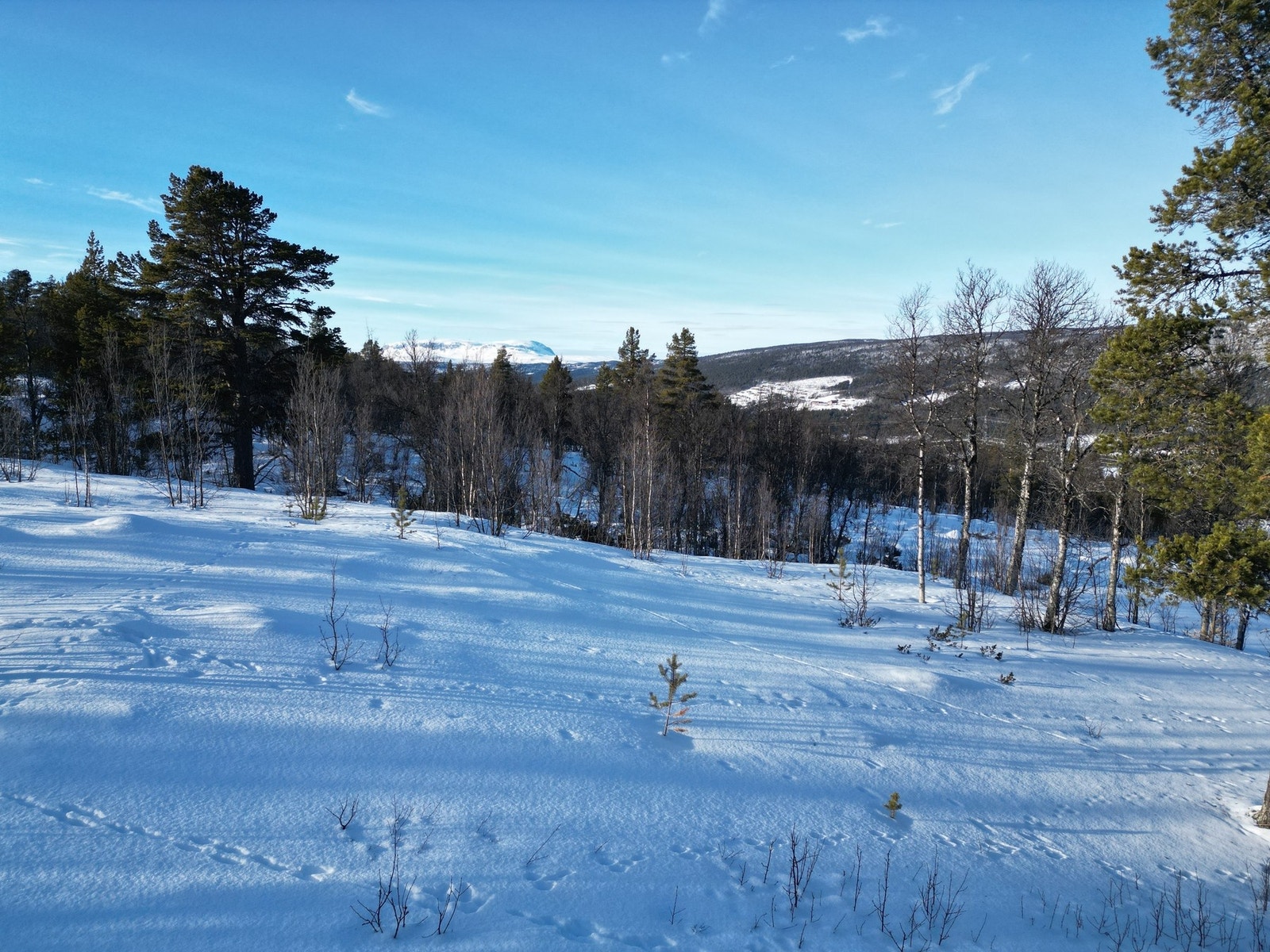 Utsikt mot Hallingskarvet fra hytten Galleribilde