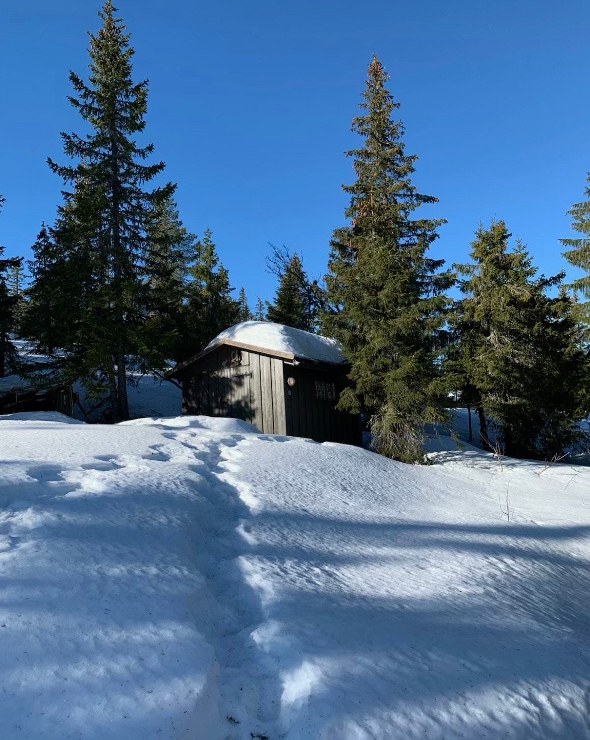 Vinterstemning i Seterliveien 35. Galleribilde