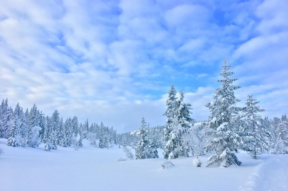 Vintersesongen er normalt sett snøsikre og løypenettet er kjent som blant de beste i Kongsberg som forbinder Vestfold med Hardangervidda. Galleribilde