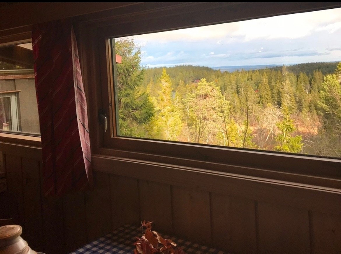 Det er fin utsikt fra kjøkkenvinduene. Galleribilde