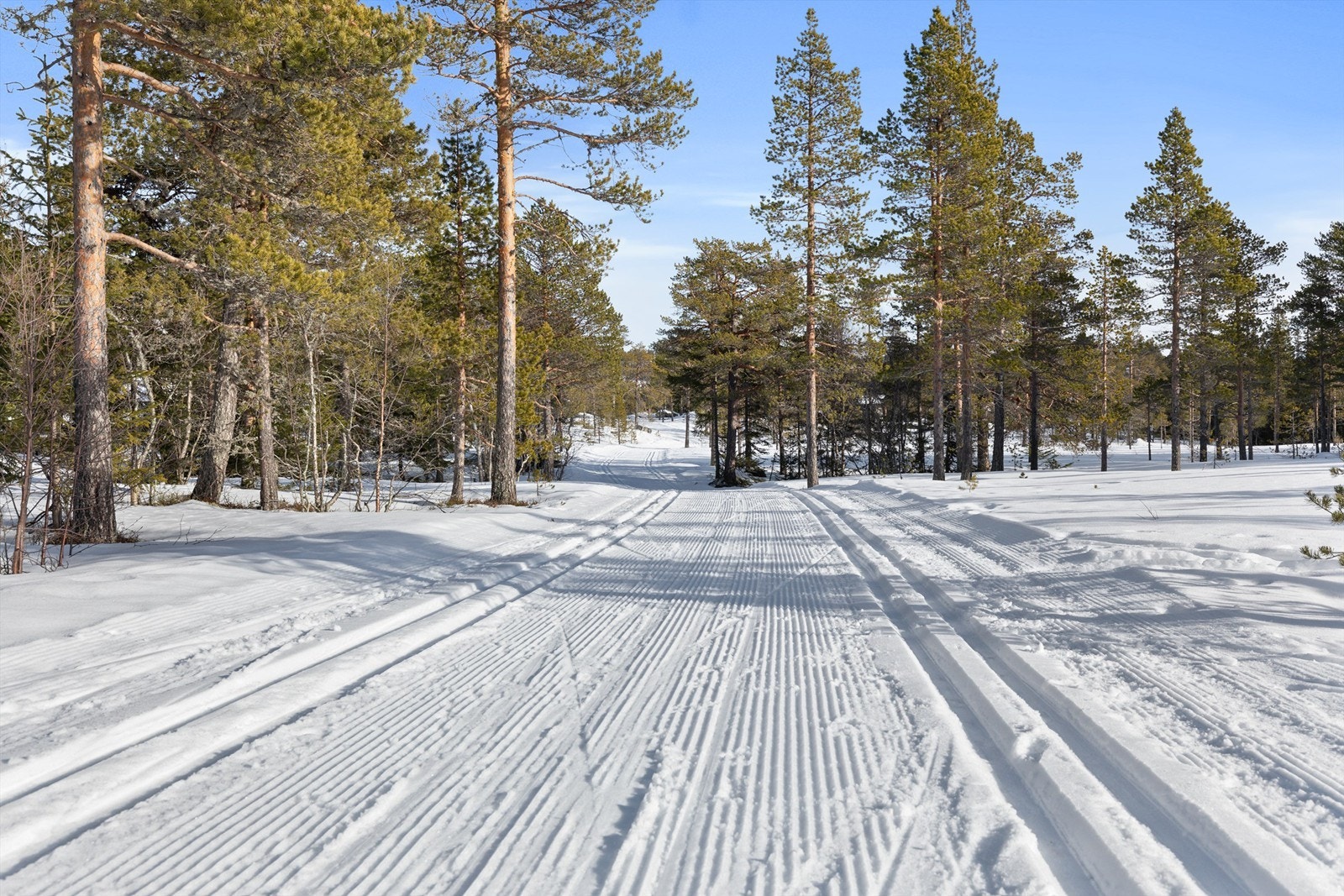 Oppkjørte løyper rett utenfor døren Galleribilde