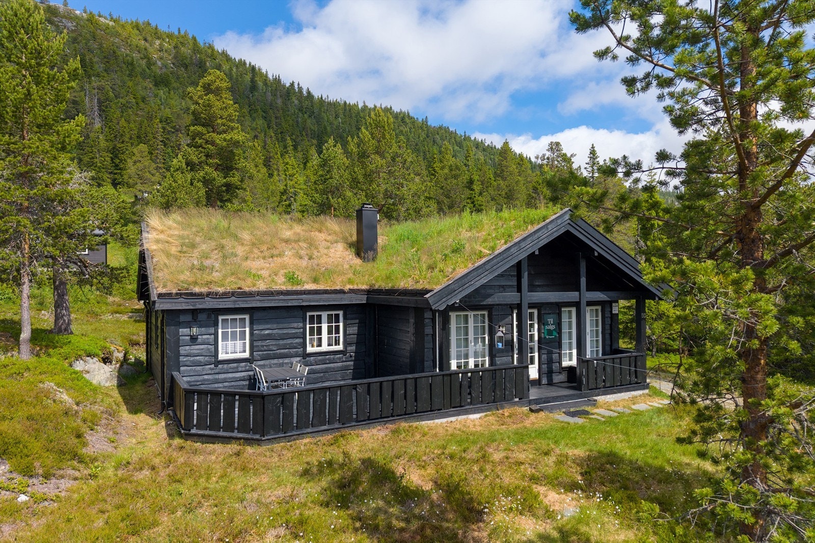 Fasadebilde sommer Galleribilde