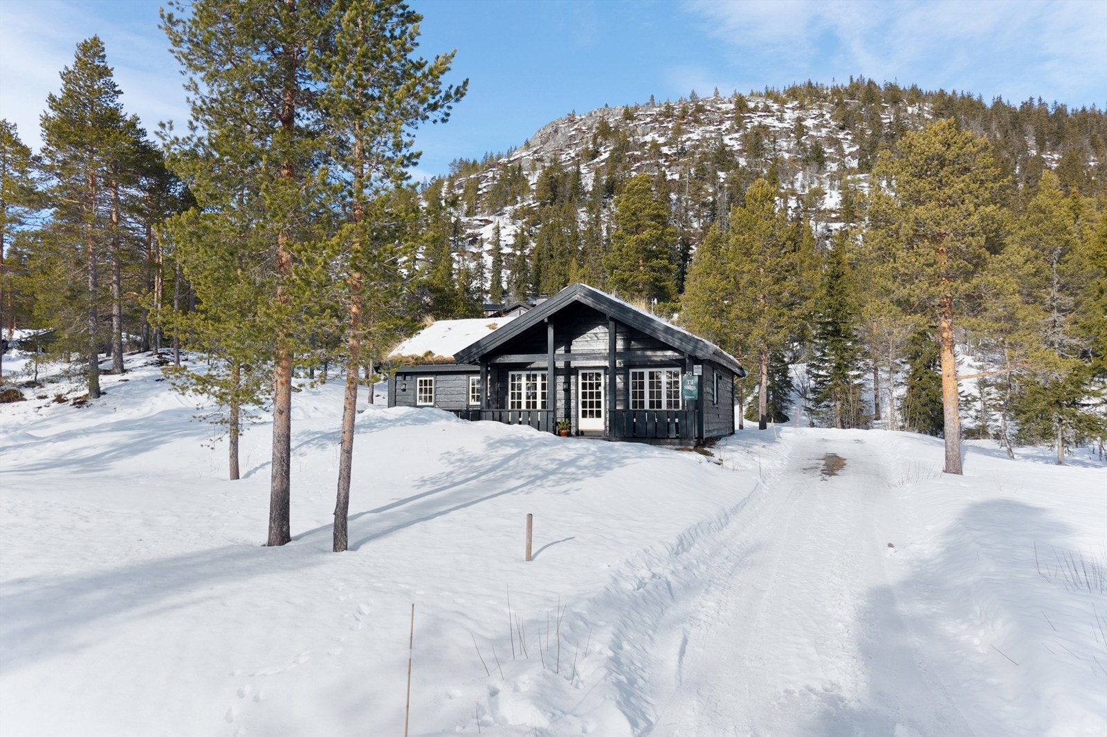 Kjørevei helt frem med gode parkeringsmuligheter og ladeboks til elbil Galleribilde