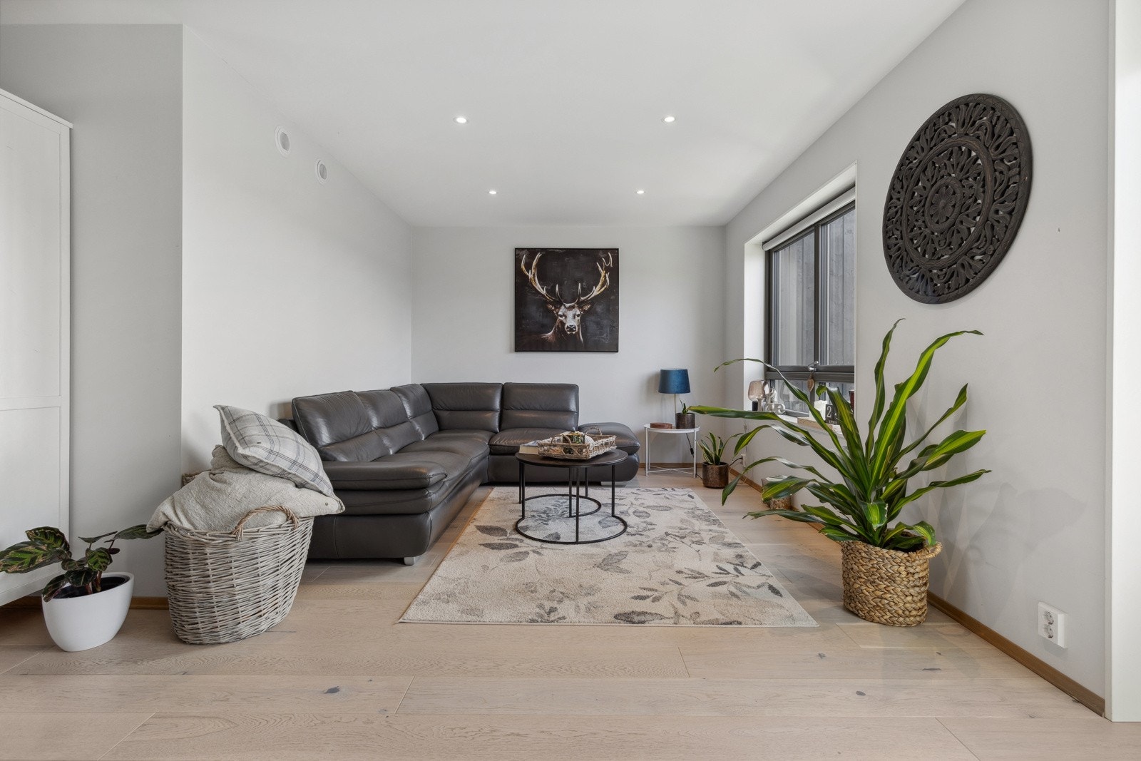 Her er det god plass til sofaløsning med tilhørende møblement. Rommet har uttak for bredbånd/kabel TV. Galleribilde