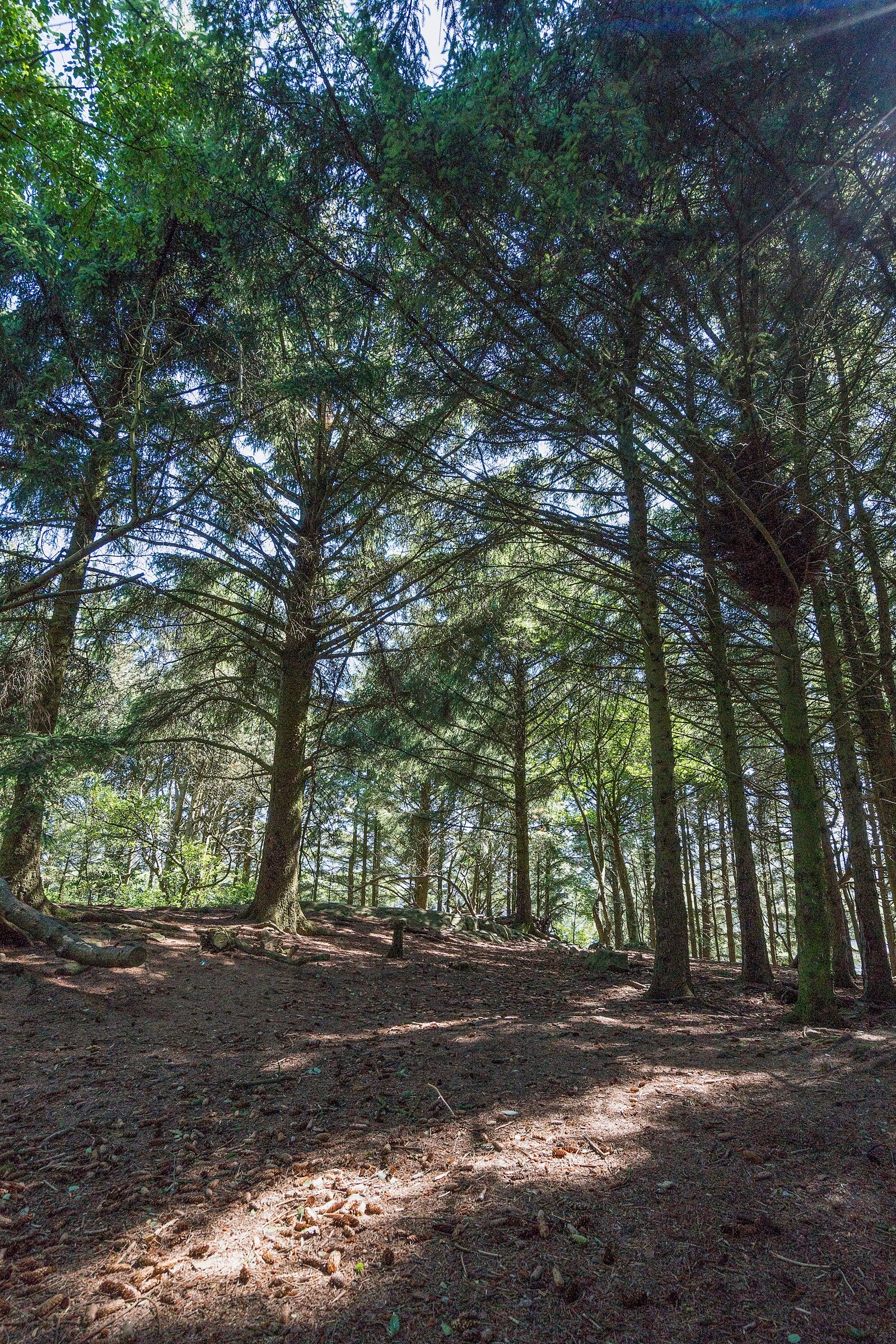 Nærområde. Galleribilde