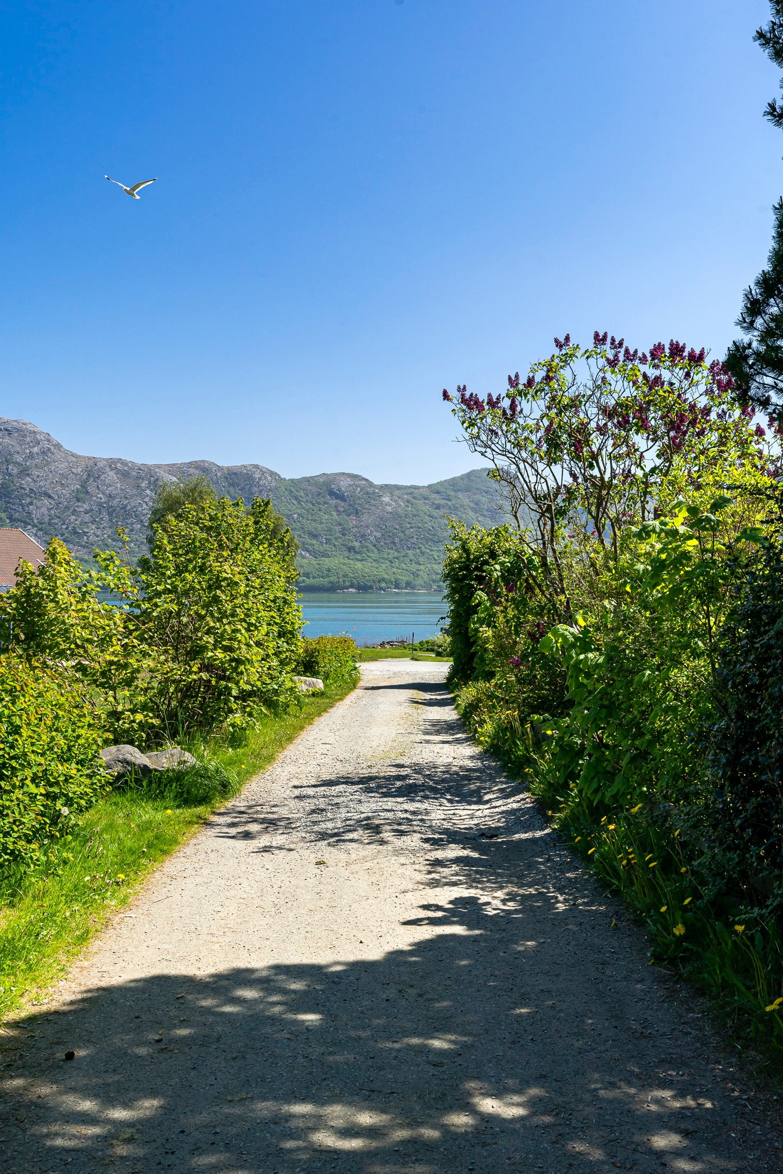 Nærområde. Galleribilde