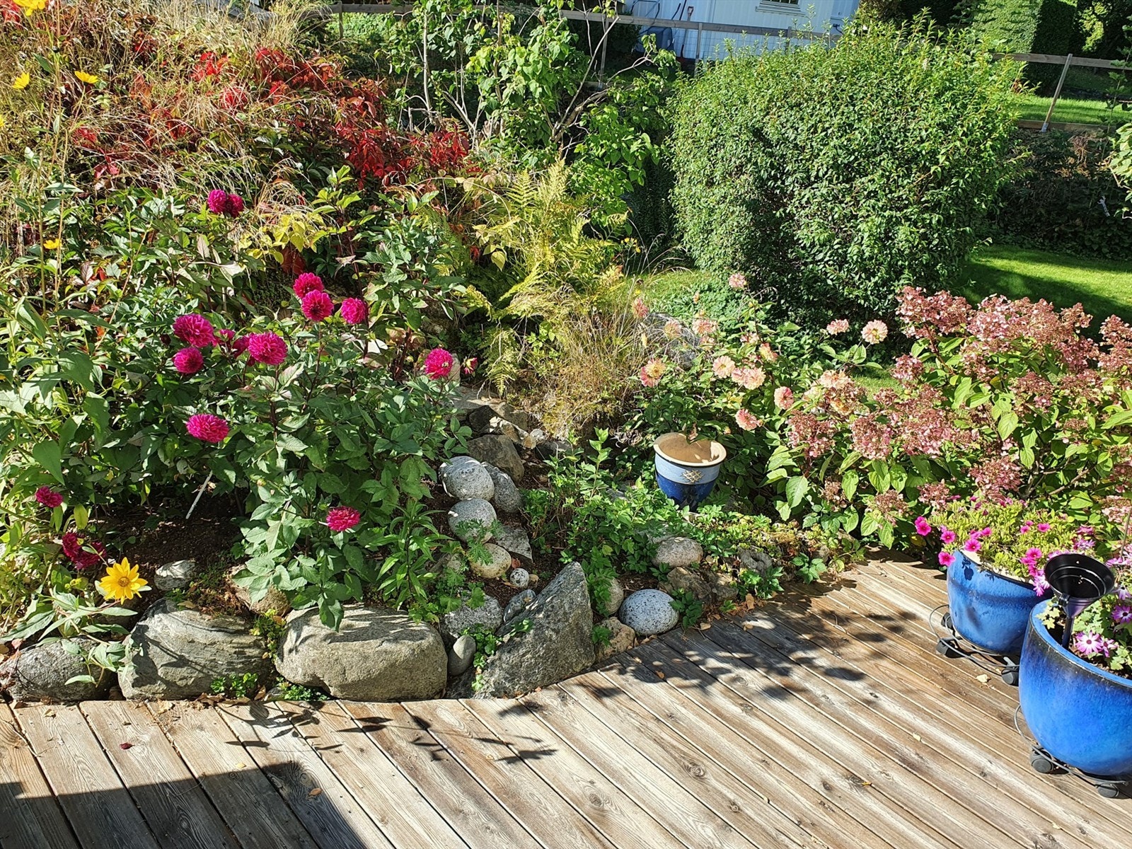 Privat bilde fra selger Galleribilde