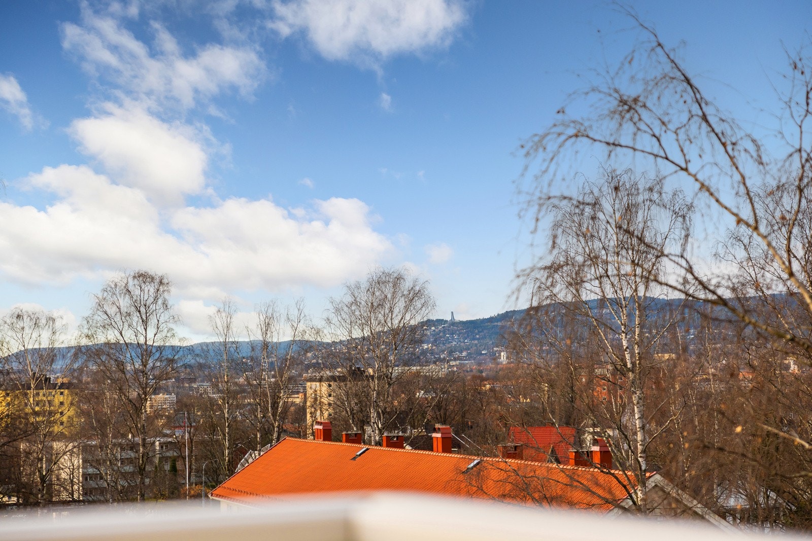 Utsikt mot vest. Galleribilde