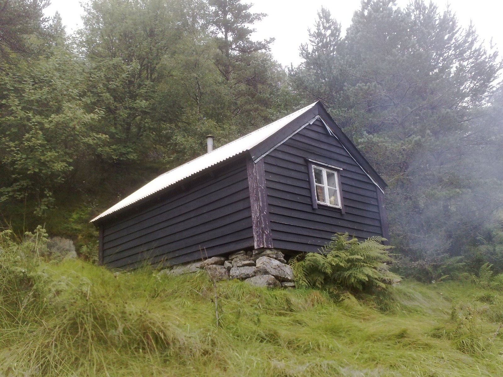 Støl på felles tomt Galleribilde