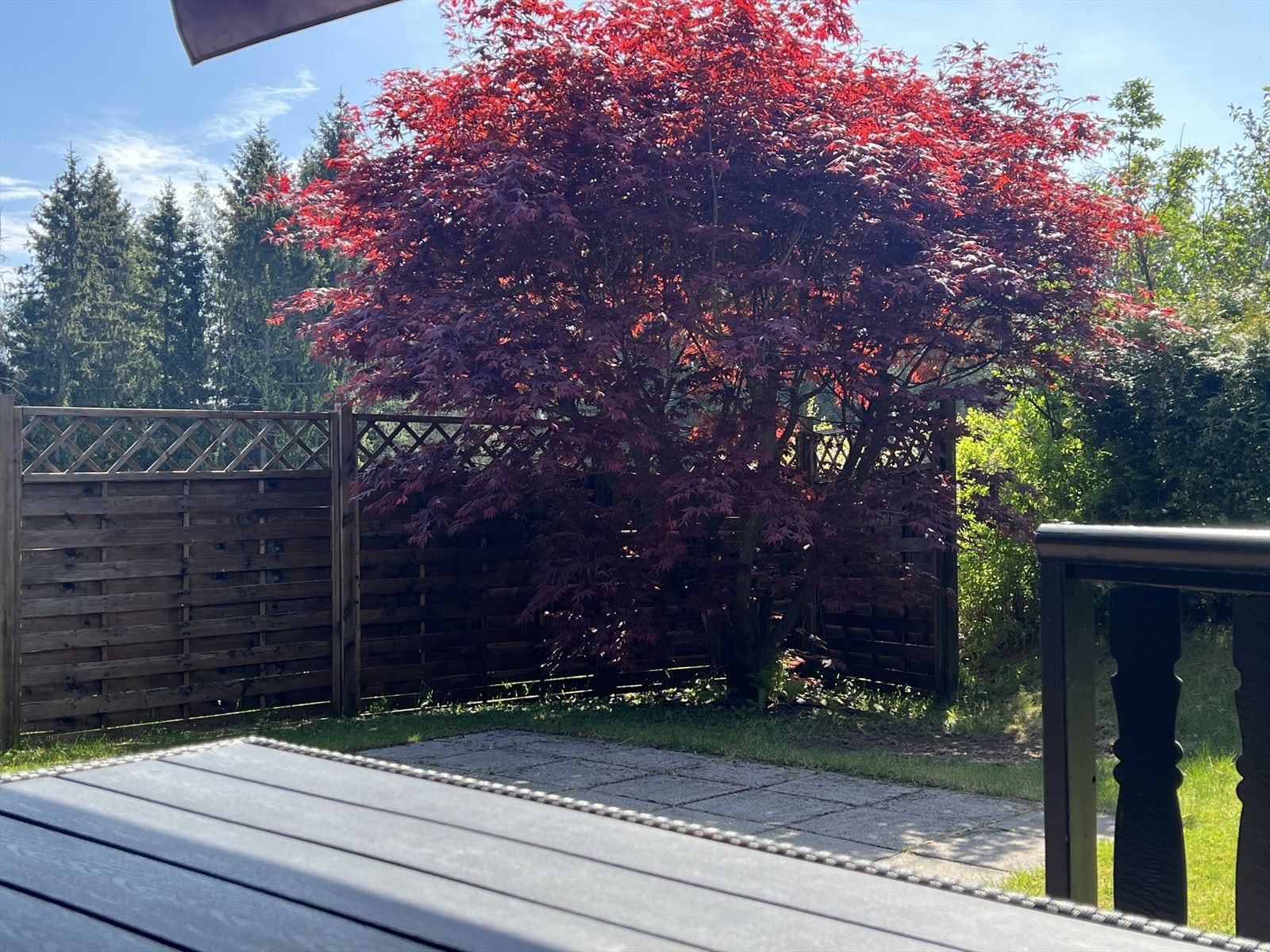 Selgers eget bilde av uteområde Galleribilde