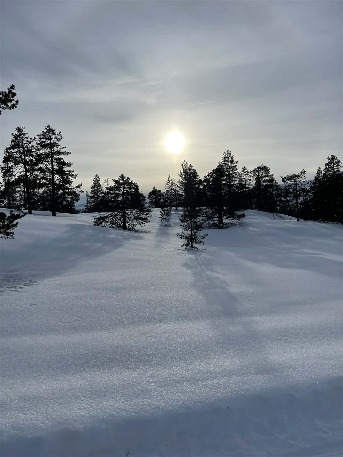 Privat foto fra selger. Galleribilde