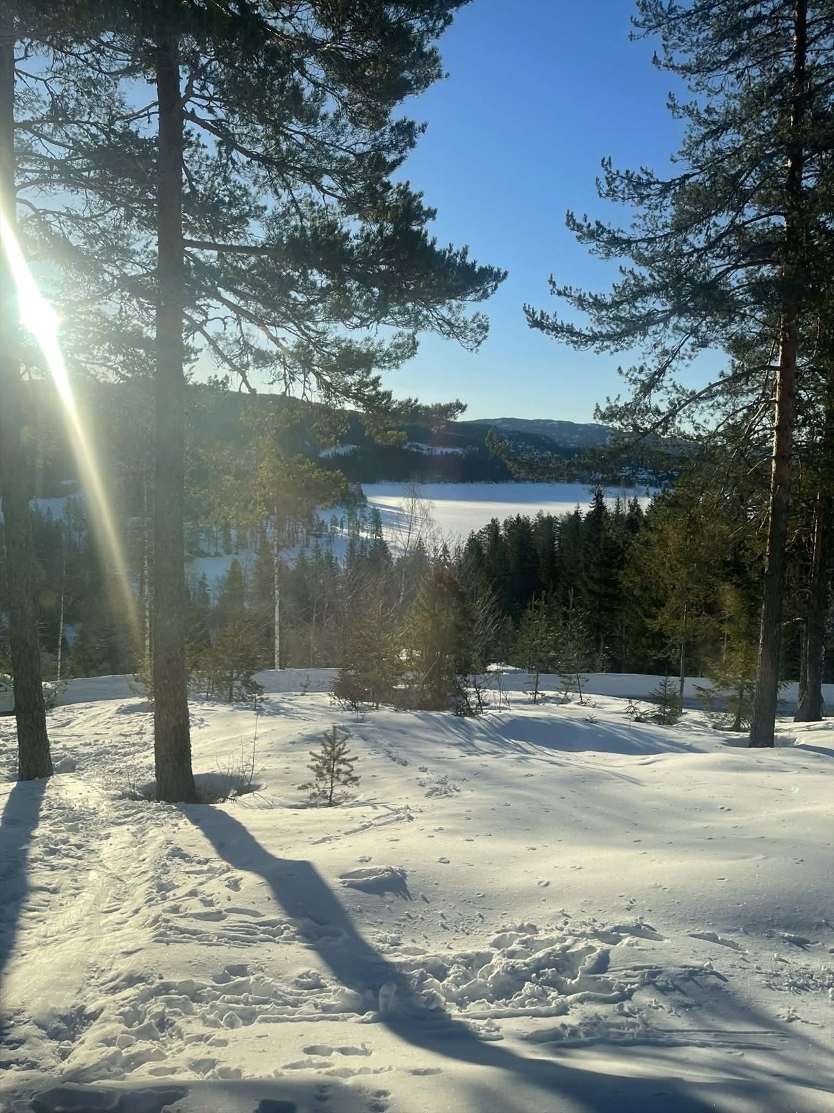 Privat foto fra selger. Galleribilde