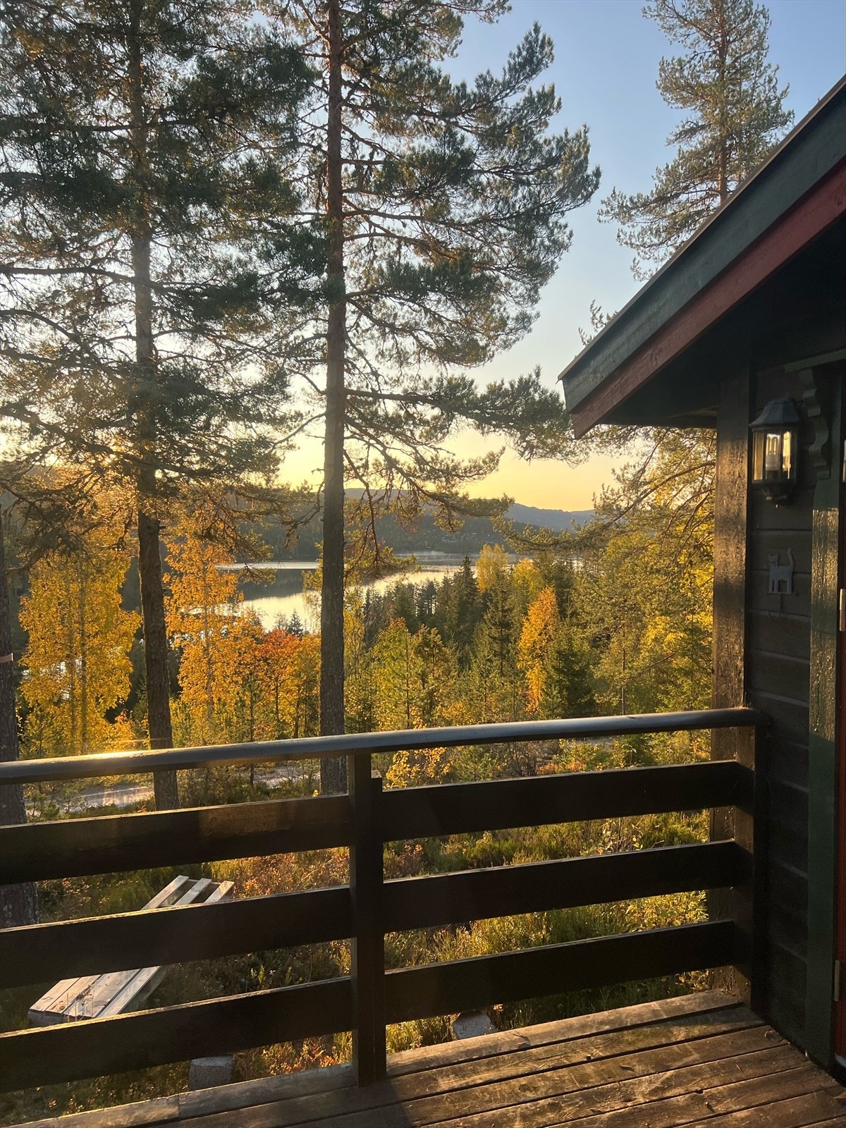 Privat foto fra eier. Galleribilde