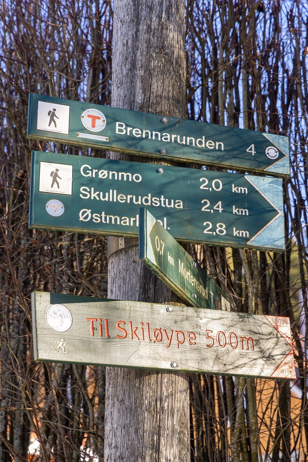 Seter Torg tilbyr et variert utvalg av butikker og kaféer, perfekt for daglige ærender. Galleribilde