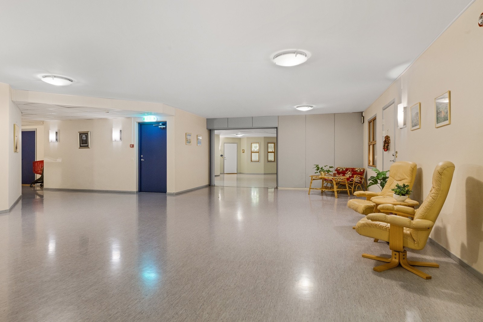 Fine fellesarealer Galleribilde