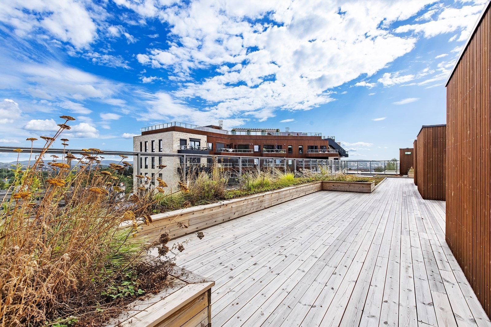 På takterrassen har du god oversikt over nærområdet og marka. Galleribilde