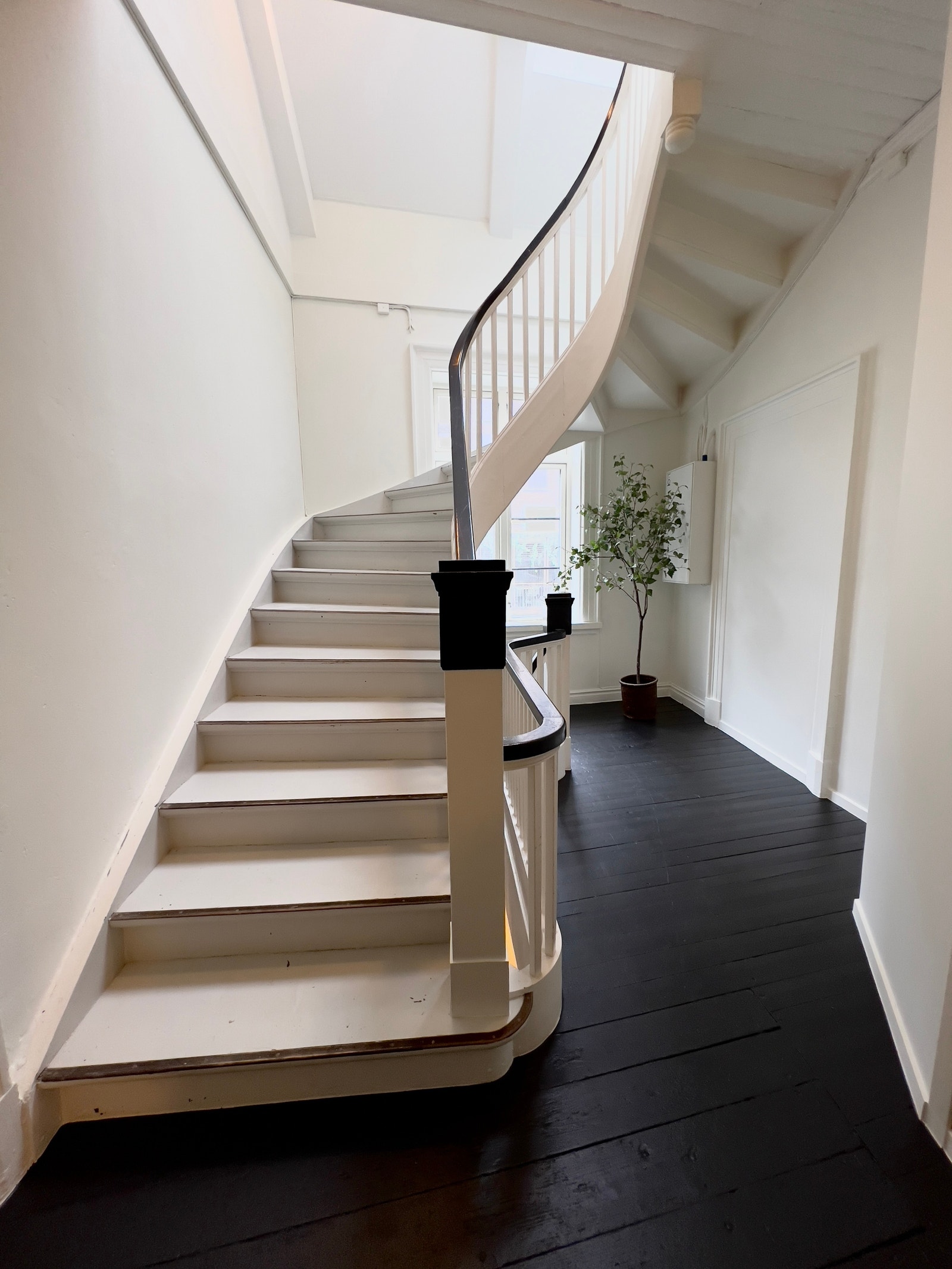 Fellesareal Galleribilde