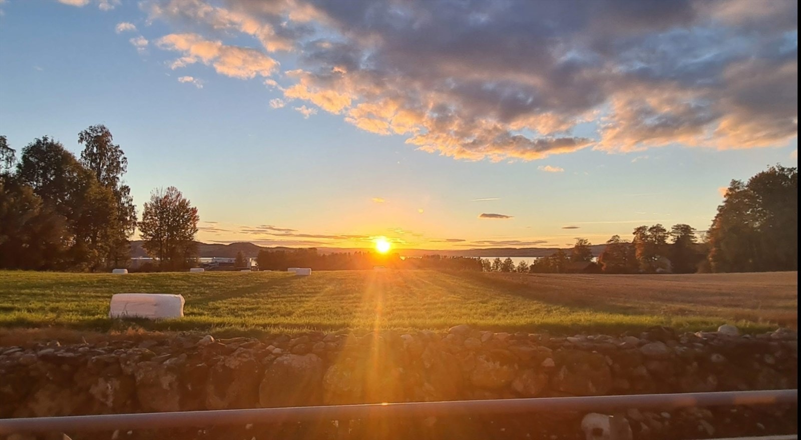 Nydelig solnedgang over åkerlandskap. Galleribilde