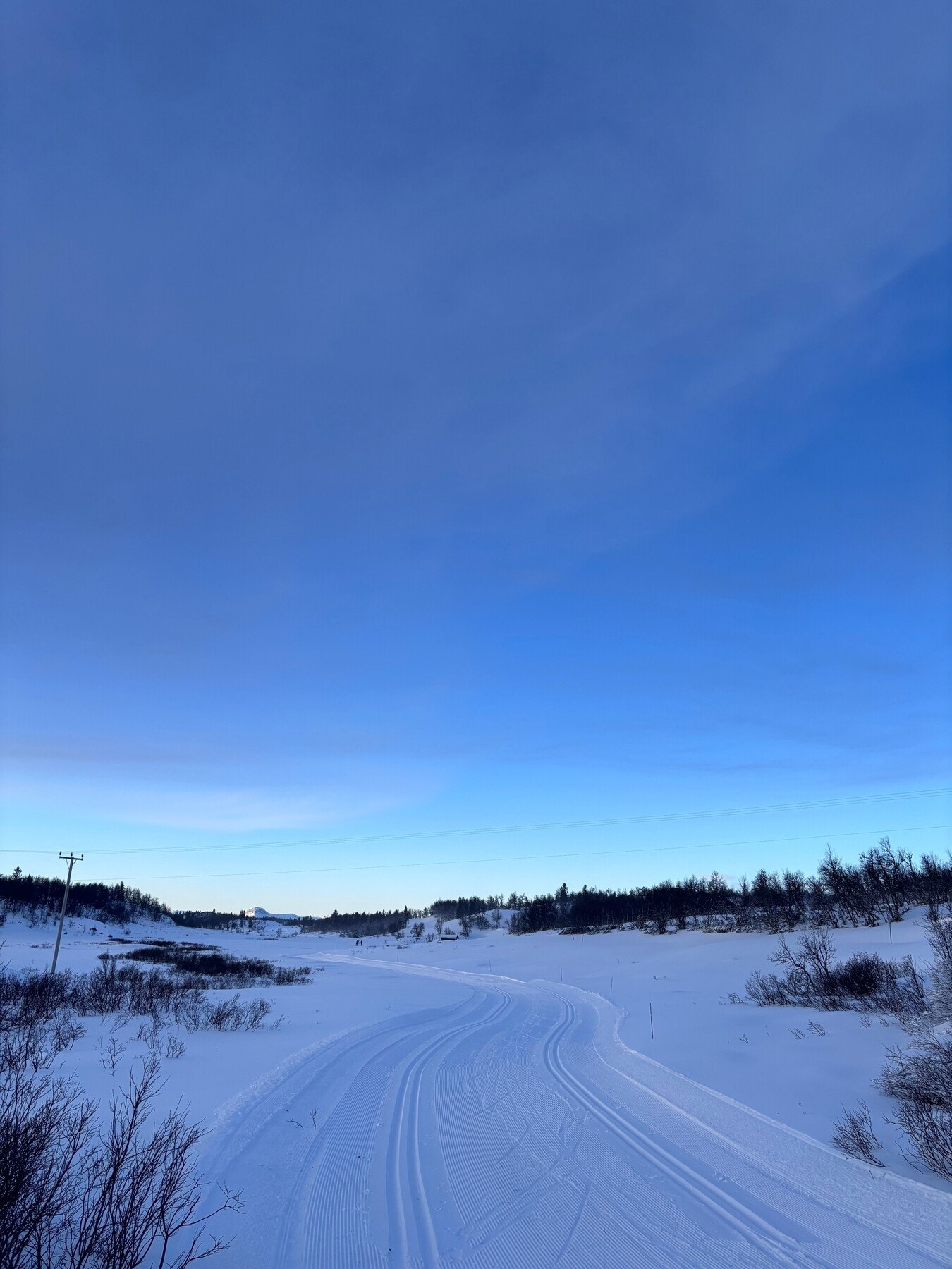 Selgers private bilde tatt julen 2025. Flotte skiforhold og løyper på Lenningen. Galleribilde