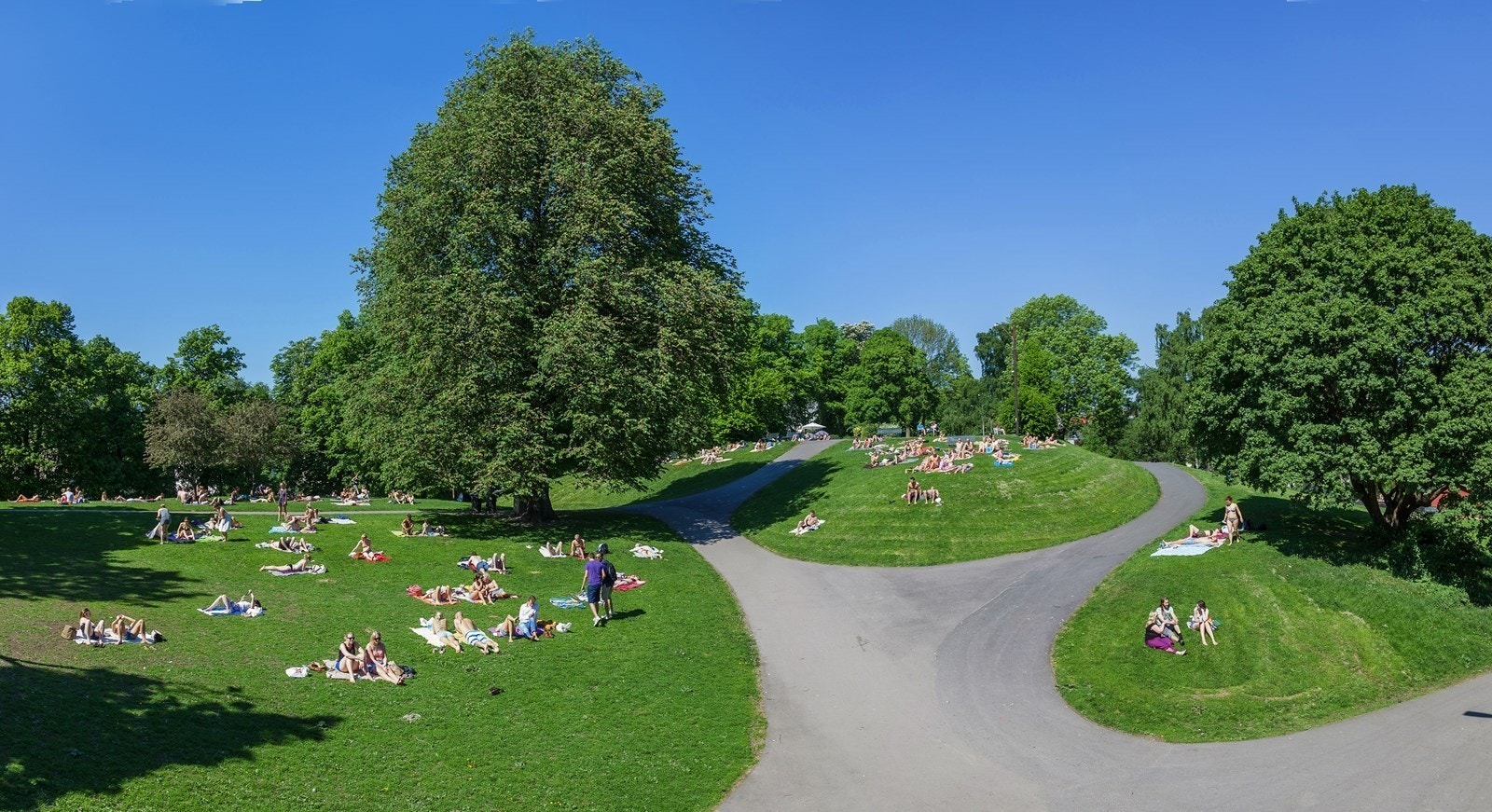 Idylliske Stensparken ca 300m. Galleribilde