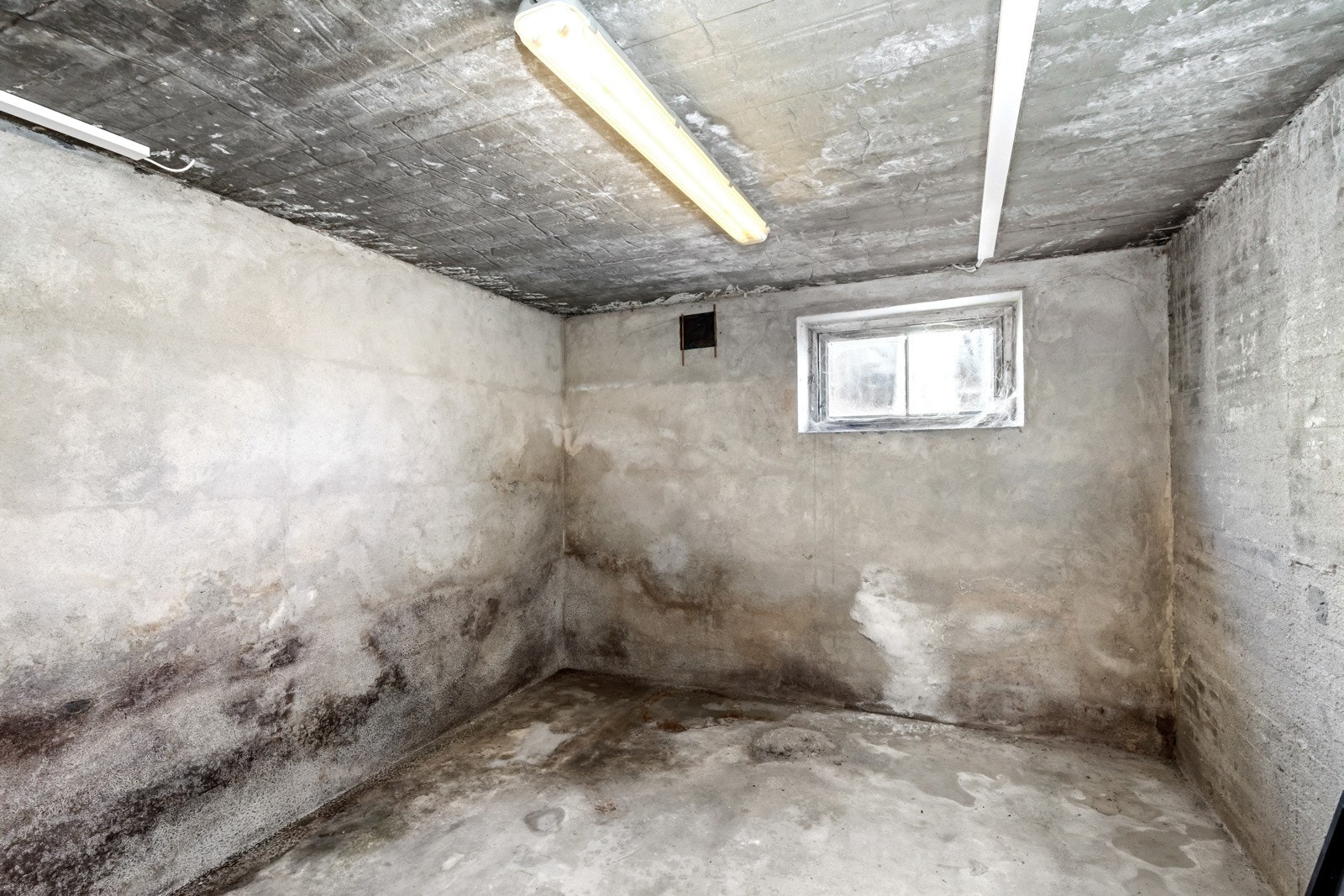 God takhøyde Galleribilde