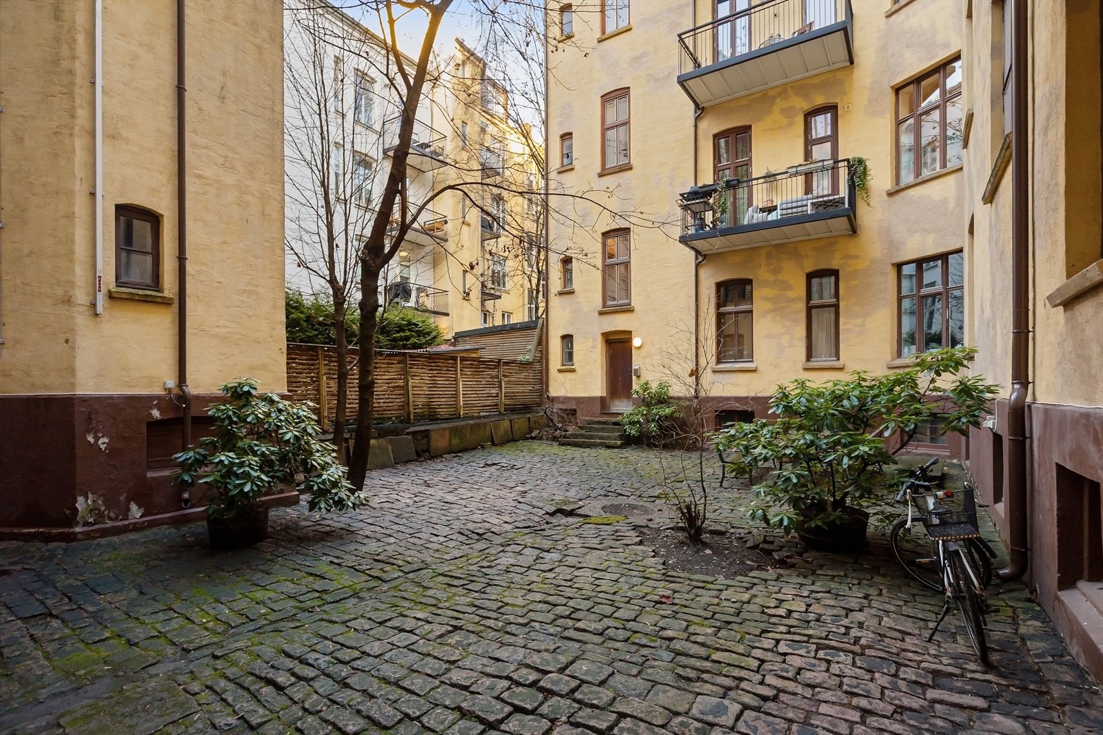 Felles bakgård med beplantning og brosten. Galleribilde