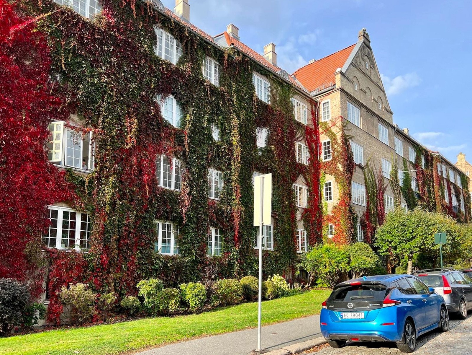 Velkommen til visning Galleribilde