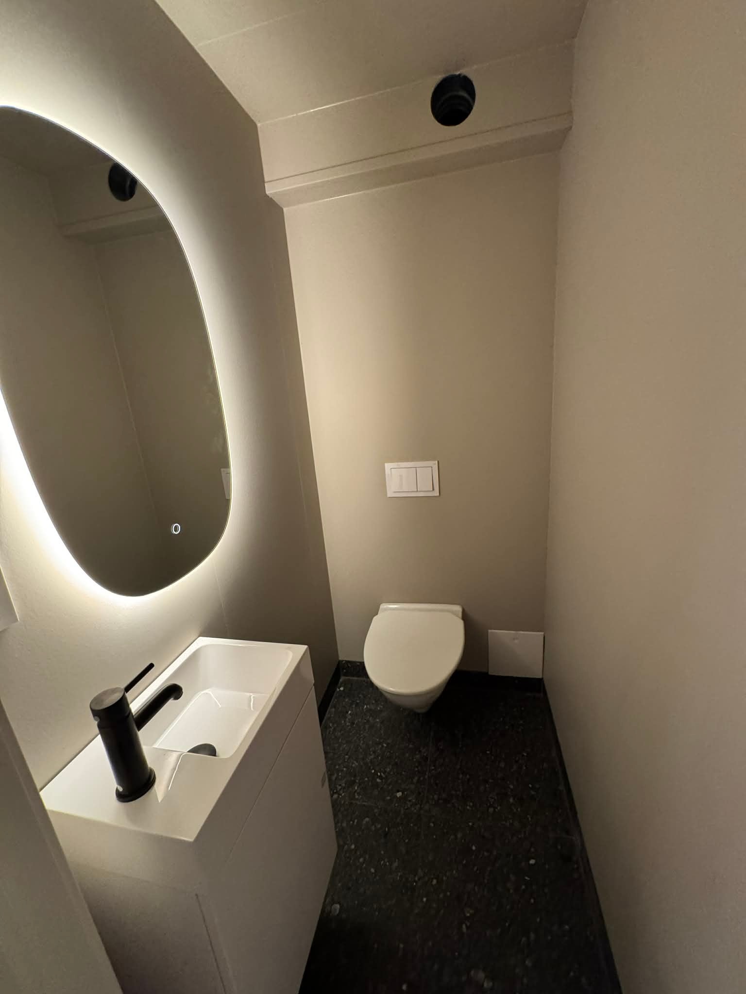 Toalett Galleribilde