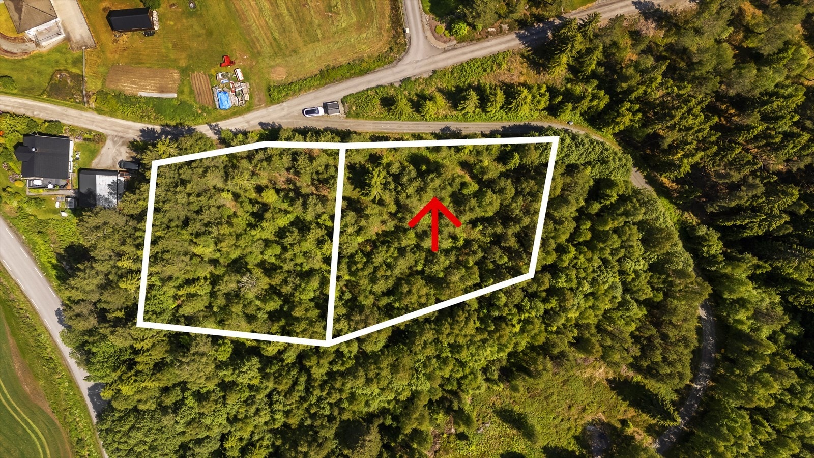 Velkommen til Liervegen! Galleribilde