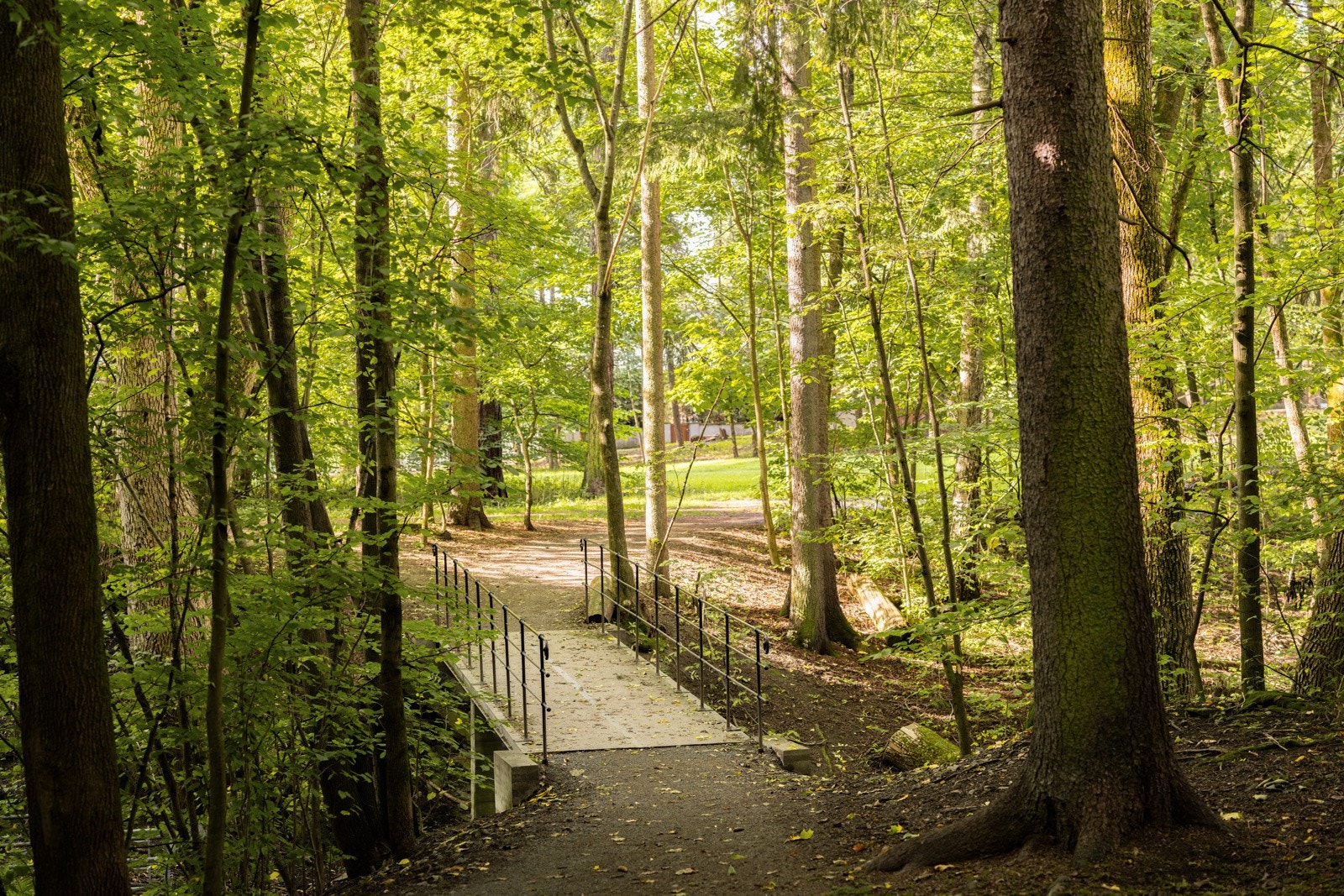 Skoleveien til Skøyen skole blir ikke mer idyllisk enn dette! Der er egen barnehage tilknyttet borettslaget, samt flere kommunale og private bhg innen svært kort gåavstand. Galleribilde