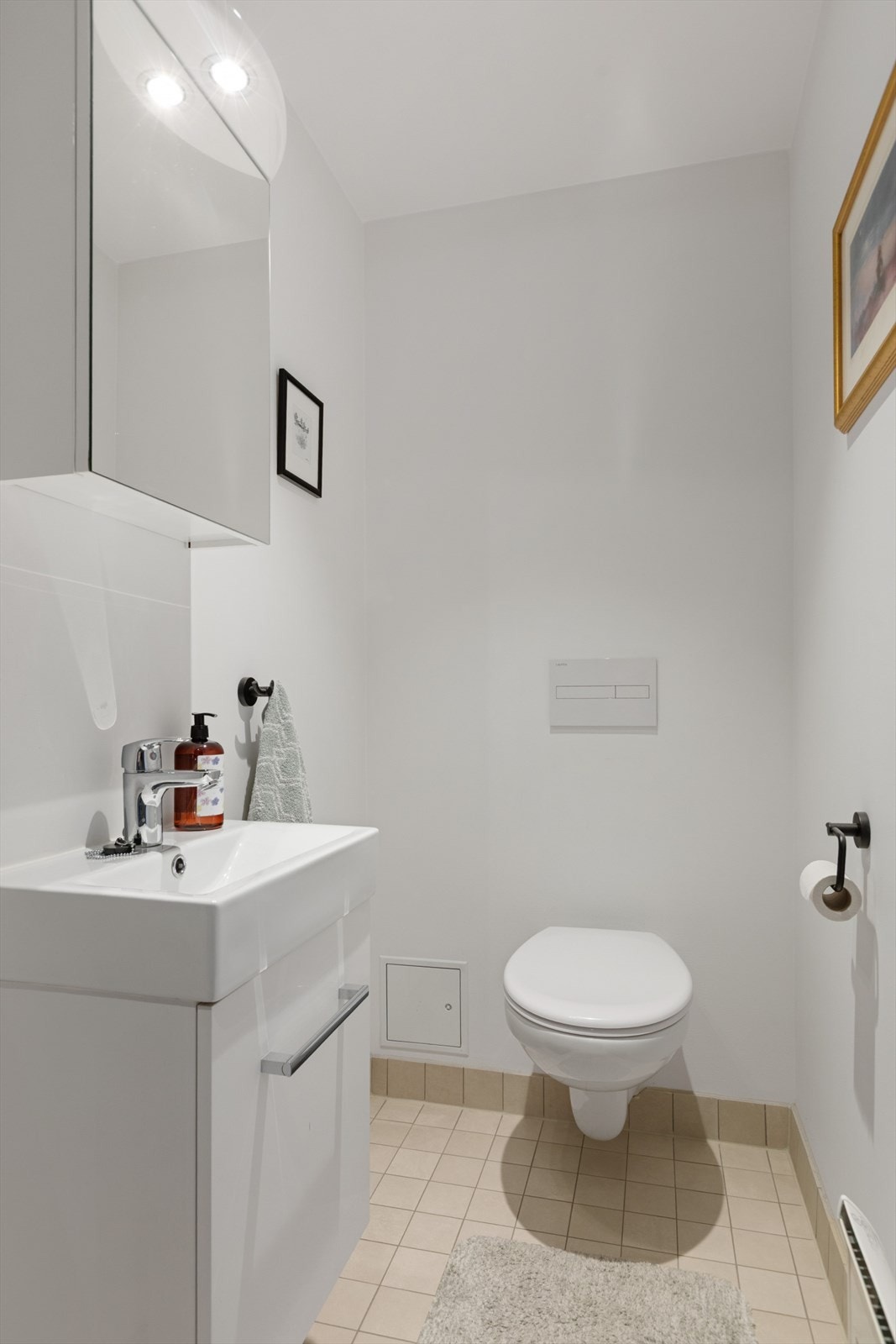 Ved siden av entreen er toalettrommet plassert, veldig praktisk. Galleribilde