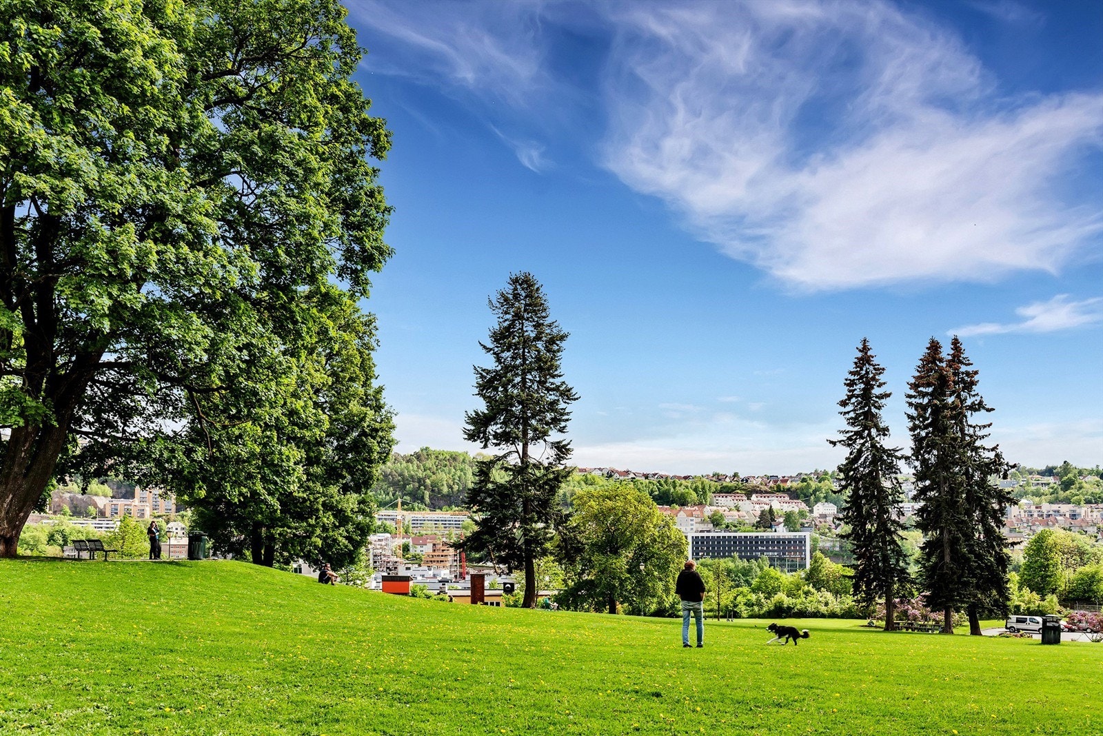 Flotte grøntområder på Etterstad. Galleribilde