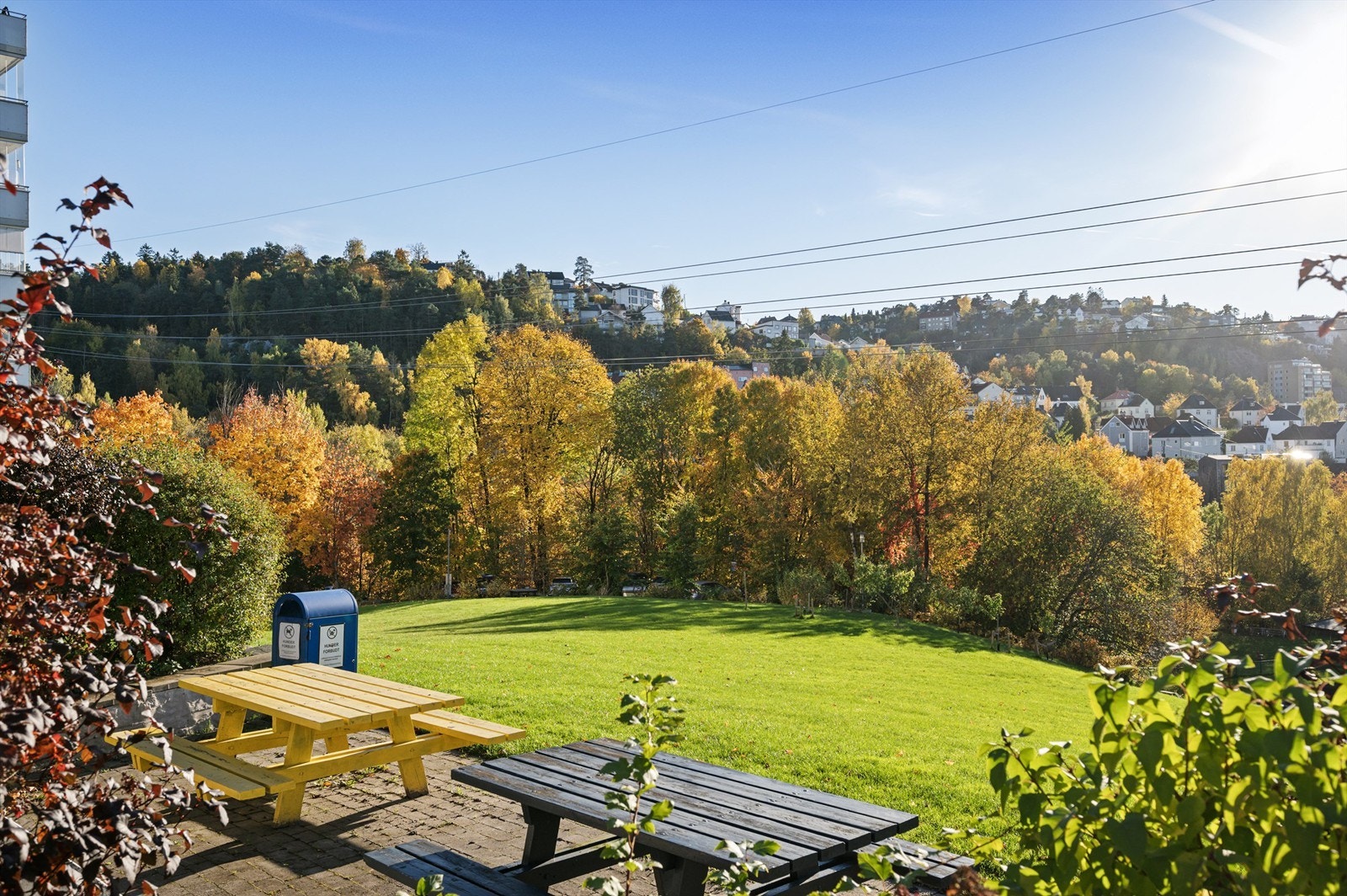 Hyggelige og grønne fellesområder. Galleribilde