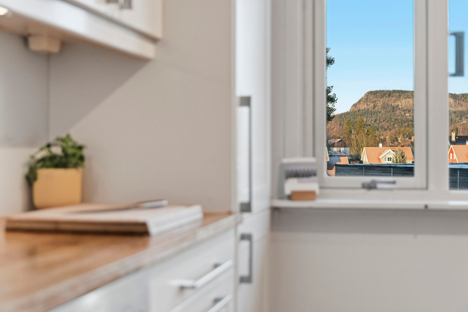 Detaljbilde. Galleribilde